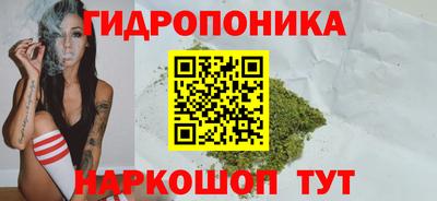 эйфоретик Камышлов