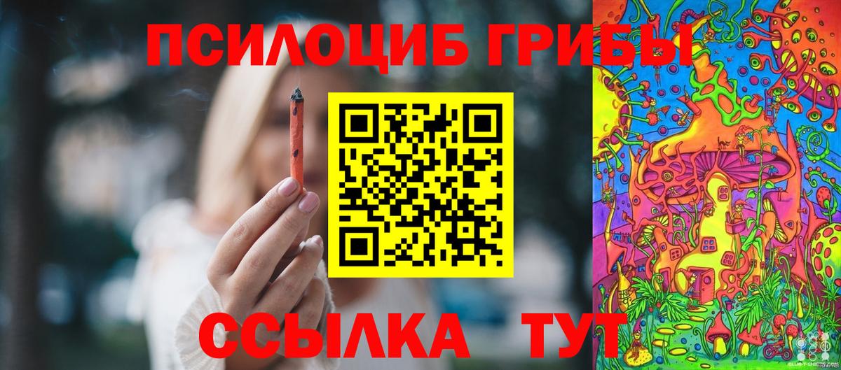 Биробиджан  Галлюциногенные грибы Psilocybe  даркнет сайт  Вход с VPN  Псилоцибиновые грибы Cubensis 