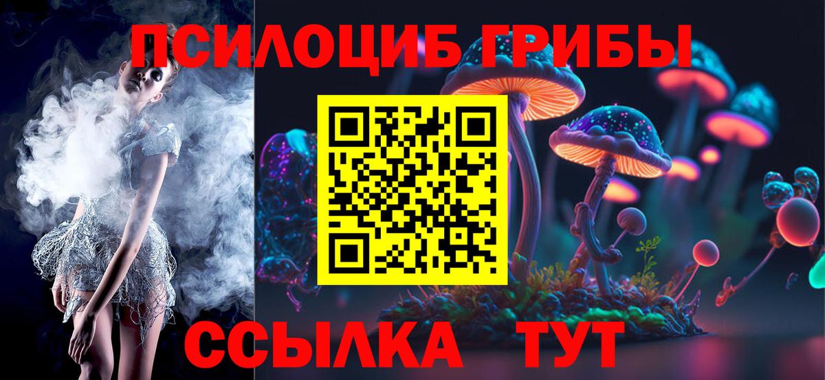 Галлюциногенные грибы Cubensis Биробиджан